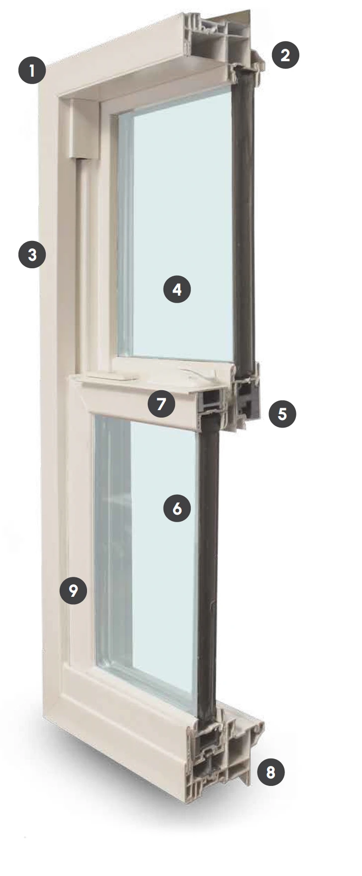 window cross section